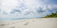 barbuda-princess-diana-beach