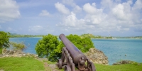 fort-james-plantation
